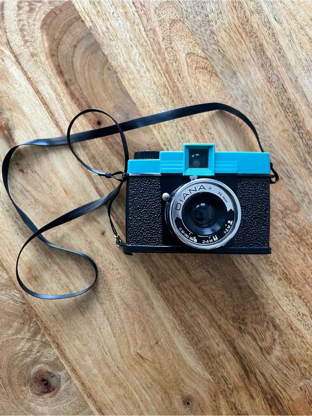 Diana+ Film Camera in Black and Turquoise